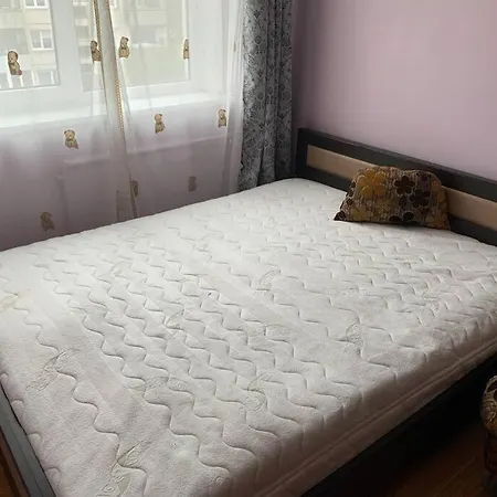 Apartamento Minties Street Big 47 Square Meters For 1-5 Persons Vilna