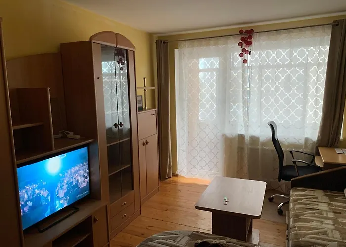 Minties Street Big Apartment Vilnius